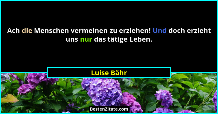 Ach die Menschen vermeinen zu erziehen! Und doch erzieht uns nur das tätige Leben.... - Luise Bähr