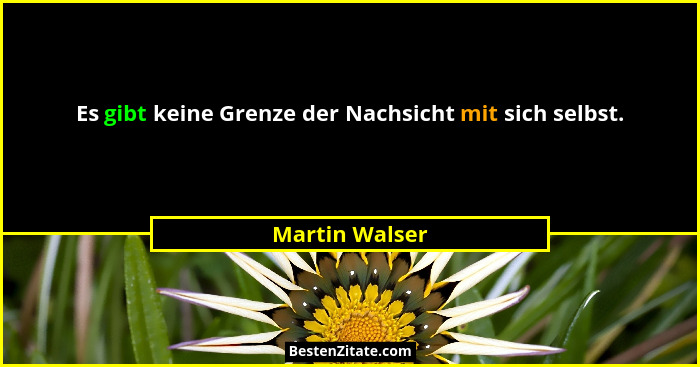 Es gibt keine Grenze der Nachsicht mit sich selbst.... - Martin Walser