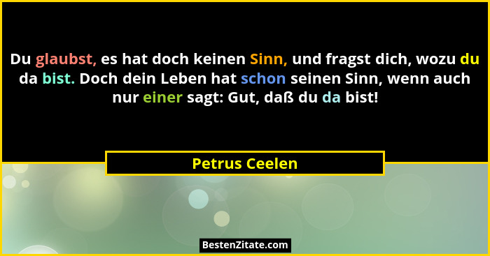 Du glaubst, es hat doch keinen Sinn, und fragst dich, wozu du da bist. Doch dein Leben hat schon seinen Sinn, wenn auch nur einer sagt... - Petrus Ceelen
