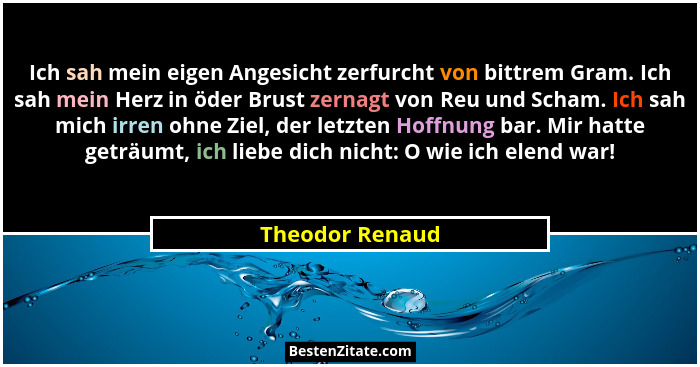 Ich sah mein eigen Angesicht zerfurcht von bittrem Gram. Ich sah mein Herz in öder Brust zernagt von Reu und Scham. Ich sah mich irre... - Theodor Renaud