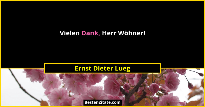 Vielen Dank, Herr Wöhner!... - Ernst Dieter Lueg