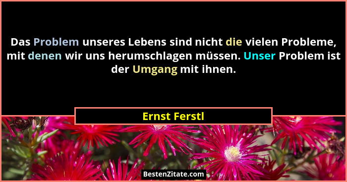 Das Problem unseres Lebens sind nicht die vielen Probleme, mit denen wir uns herumschlagen müssen. Unser Problem ist der Umgang mit ihn... - Ernst Ferstl