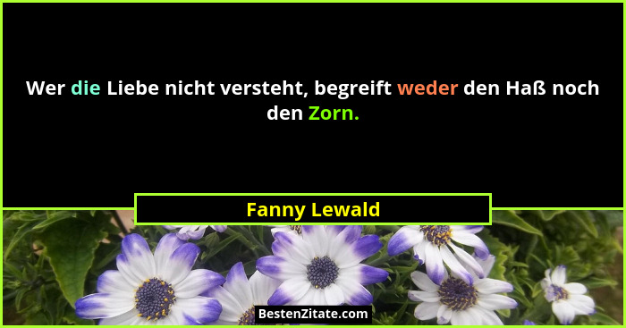 Wer die Liebe nicht versteht, begreift weder den Haß noch den Zorn.... - Fanny Lewald