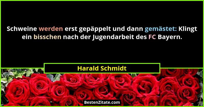 Schweine werden erst gepäppelt und dann gemästet: Klingt ein bisschen nach der Jugendarbeit des FC Bayern.... - Harald Schmidt