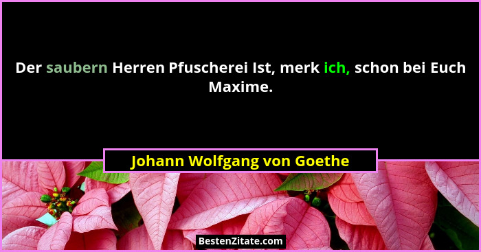 Der saubern Herren Pfuscherei Ist, merk ich, schon bei Euch Maxime.... - Johann Wolfgang von Goethe