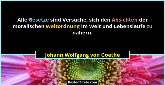 Alle Gesetze sind Versuche, sich den Absichten der moralischen Weltordnung im Welt und Lebenslaufe zu nähern.... - Johann Wolfgang von Goethe