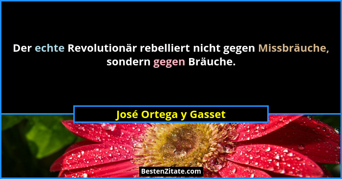 Der echte Revolutionär rebelliert nicht gegen Missbräuche, sondern gegen Bräuche.... - José Ortega y Gasset