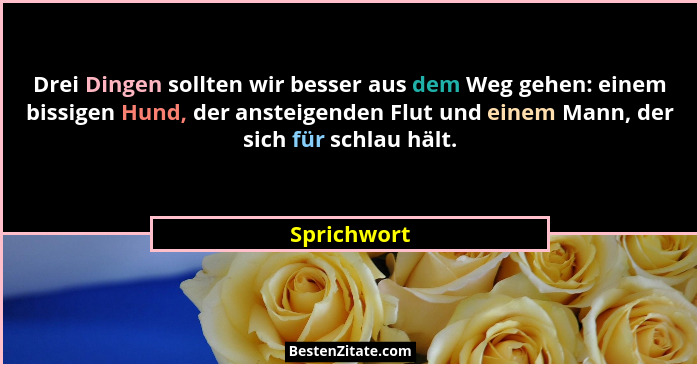 Drei Dingen sollten wir besser aus dem Weg gehen: einem bissigen Hund, der ansteigenden Flut und einem Mann, der sich für schlau hält.... - Sprichwort