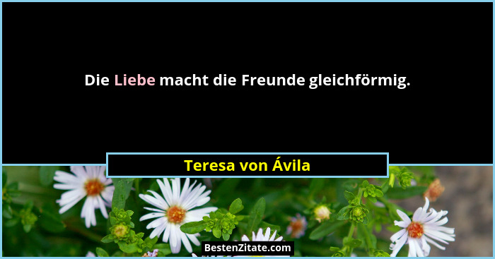 Die Liebe macht die Freunde gleichförmig.... - Teresa von Ávila