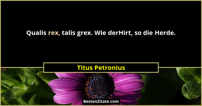 Qualis rex, talis grex. Wie derHirt, so die Herde.... - Titus Petronius