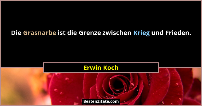 Die Grasnarbe ist die Grenze zwischen Krieg und Frieden.... - Erwin Koch