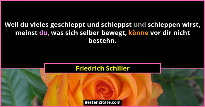 Weil du vieles geschleppt und schleppst und schleppen wirst, meinst du, was sich selber bewegt, könne vor dir nicht bestehn.... - Friedrich Schiller