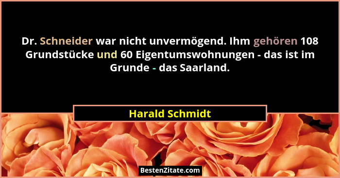 Dr. Schneider war nicht unvermögend. Ihm gehören 108 Grundstücke und 60 Eigentumswohnungen - das ist im Grunde - das Saarland.... - Harald Schmidt