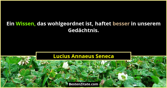 Ein Wissen, das wohlgeordnet ist, haftet besser in unserem Gedächtnis.... - Lucius Annaeus Seneca