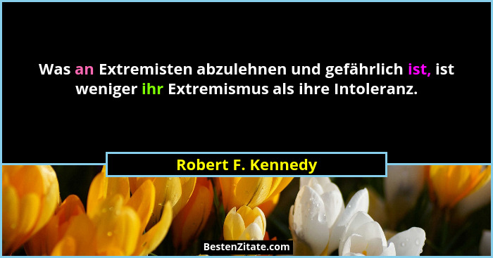 Was an Extremisten abzulehnen und gefährlich ist, ist weniger ihr Extremismus als ihre Intoleranz.... - Robert F. Kennedy