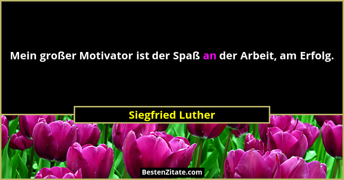 Mein großer Motivator ist der Spaß an der Arbeit, am Erfolg.... - Siegfried Luther