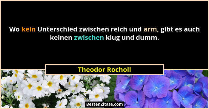 Wo kein Unterschied zwischen reich und arm, gibt es auch keinen zwischen klug und dumm.... - Theodor Rocholl