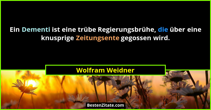 Ein Dementi ist eine trübe Regierungsbrühe, die über eine knusprige Zeitungsente gegossen wird.... - Wolfram Weidner