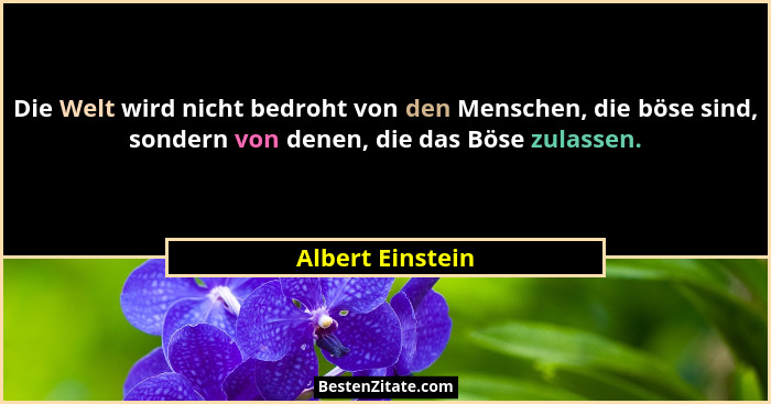 Die Welt wird nicht bedroht von den Menschen, die böse sind, sondern von denen, die das Böse zulassen.... - Albert Einstein