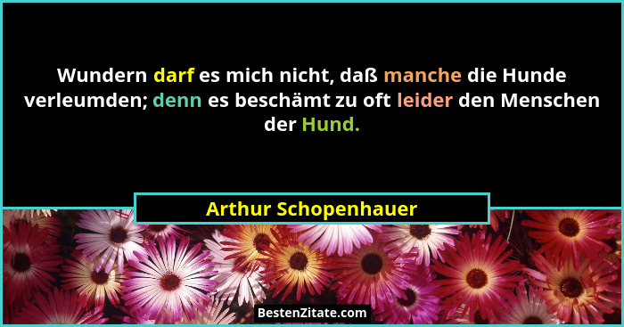 Wundern darf es mich nicht, daß manche die Hunde verleumden; denn es beschämt zu oft leider den Menschen der Hund.... - Arthur Schopenhauer