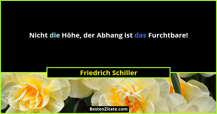 Nicht die Höhe, der Abhang ist das Furchtbare!... - Friedrich Schiller