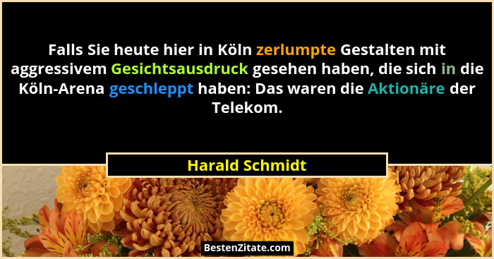 Falls Sie heute hier in Köln zerlumpte Gestalten mit aggressivem Gesichtsausdruck gesehen haben, die sich in die Köln-Arena geschlepp... - Harald Schmidt