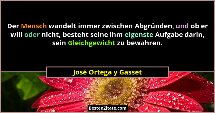 Der Mensch wandelt immer zwischen Abgründen, und ob er will oder nicht, besteht seine ihm eigenste Aufgabe darin, sein Gleichge... - José Ortega y Gasset