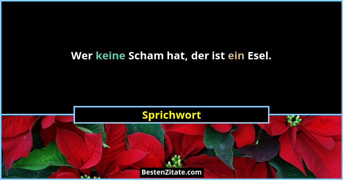 Wer keine Scham hat, der ist ein Esel.... - Sprichwort