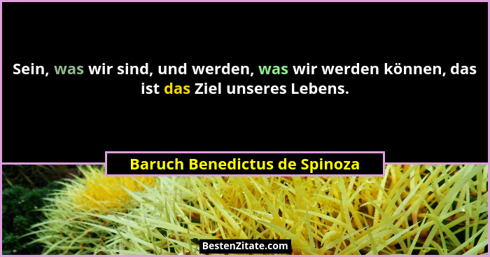 Sein, was wir sind, und werden, was wir werden können, das ist das Ziel unseres Lebens.... - Baruch Benedictus de Spinoza