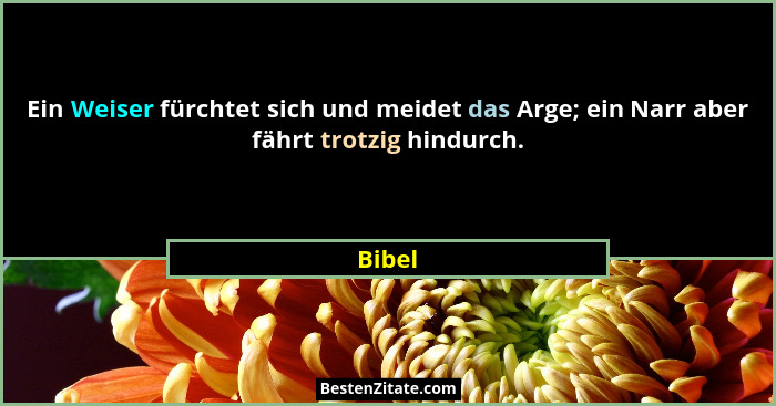Ein Weiser fürchtet sich und meidet das Arge; ein Narr aber fährt trotzig hindurch.... - Bibel