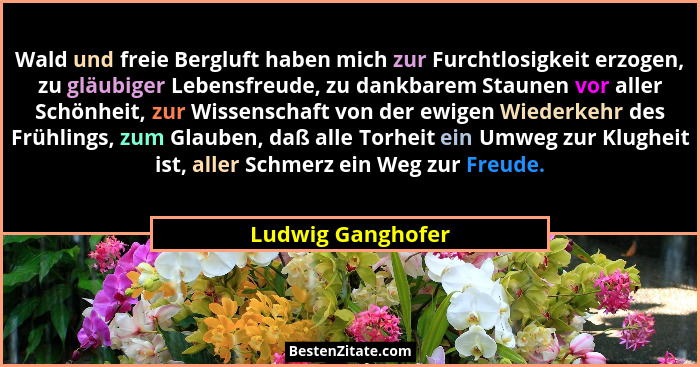Wald und freie Bergluft haben mich zur Furchtlosigkeit erzogen, zu gläubiger Lebensfreude, zu dankbarem Staunen vor aller Schönheit... - Ludwig Ganghofer