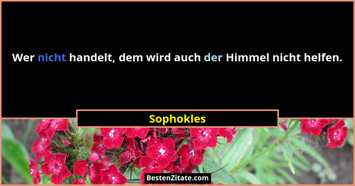 Wer nicht handelt, dem wird auch der Himmel nicht helfen.... - Sophokles
