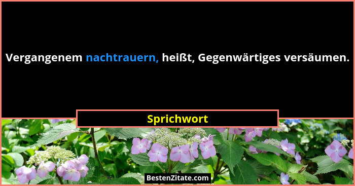 Vergangenem nachtrauern, heißt, Gegenwärtiges versäumen.... - Sprichwort