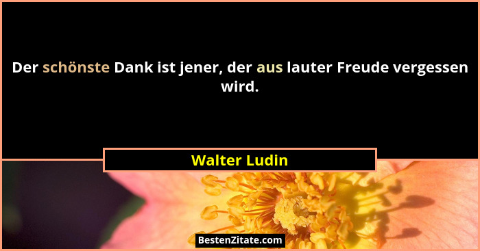 Der schönste Dank ist jener, der aus lauter Freude vergessen wird.... - Walter Ludin