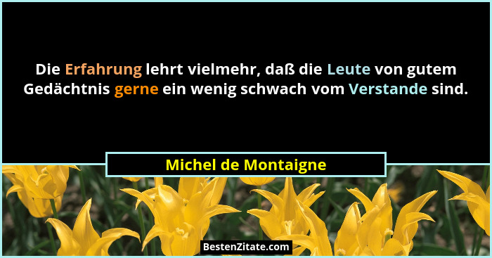 Die Erfahrung lehrt vielmehr, daß die Leute von gutem Gedächtnis gerne ein wenig schwach vom Verstande sind.... - Michel de Montaigne