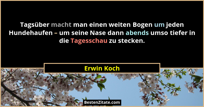 Tagsüber macht man einen weiten Bogen um jeden Hundehaufen – um seine Nase dann abends umso tiefer in die Tagesschau zu stecken.... - Erwin Koch