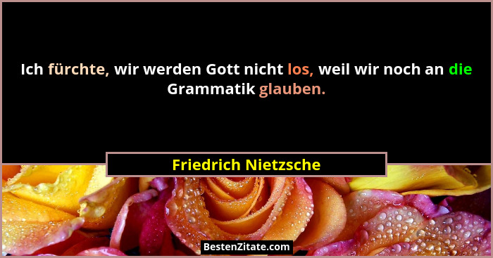 Ich fürchte, wir werden Gott nicht los, weil wir noch an die Grammatik glauben.... - Friedrich Nietzsche