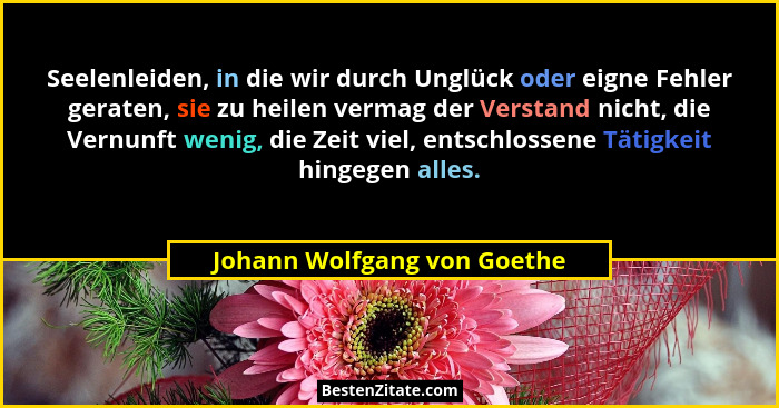 Seelenleiden, in die wir durch Unglück oder eigne Fehler geraten, sie zu heilen vermag der Verstand nicht, die Vernunft w... - Johann Wolfgang von Goethe