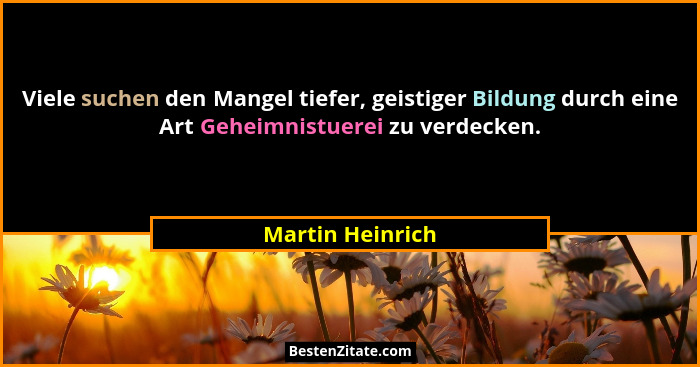 Viele suchen den Mangel tiefer, geistiger Bildung durch eine Art Geheimnistuerei zu verdecken.... - Martin Heinrich