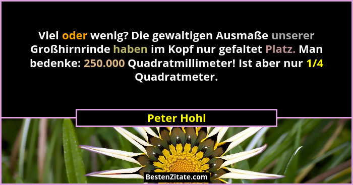 Viel oder wenig? Die gewaltigen Ausmaße unserer Großhirnrinde haben im Kopf nur gefaltet Platz. Man bedenke: 250.000 Quadratmillimeter! I... - Peter Hohl