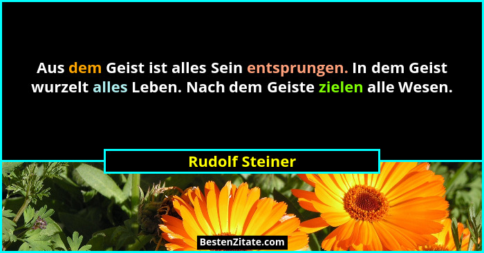 Aus dem Geist ist alles Sein entsprungen. In dem Geist wurzelt alles Leben. Nach dem Geiste zielen alle Wesen.... - Rudolf Steiner