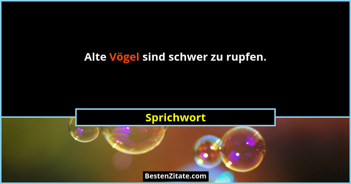Alte Vögel sind schwer zu rupfen.... - Sprichwort