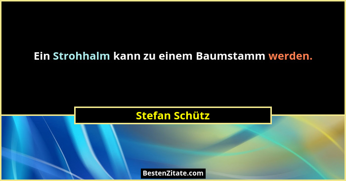 Ein Strohhalm kann zu einem Baumstamm werden.... - Stefan Schütz