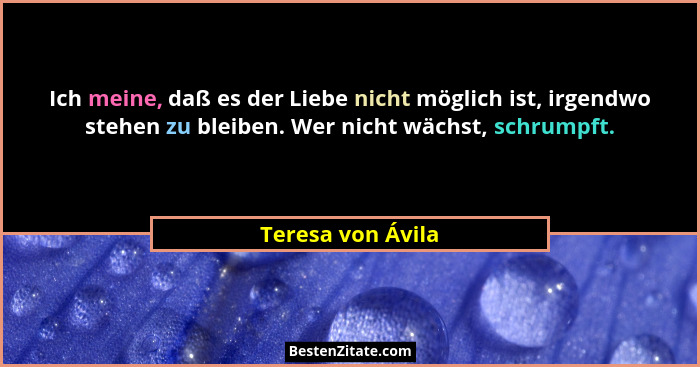 Ich meine, daß es der Liebe nicht möglich ist, irgendwo stehen zu bleiben. Wer nicht wächst, schrumpft.... - Teresa von Ávila