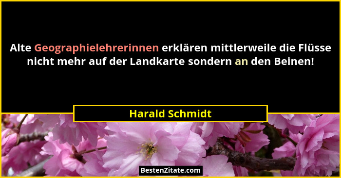 Alte Geographielehrerinnen erklären mittlerweile die Flüsse nicht mehr auf der Landkarte sondern an den Beinen!... - Harald Schmidt