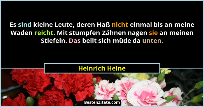 Es sind kleine Leute, deren Haß nicht einmal bis an meine Waden reicht. Mit stumpfen Zähnen nagen sie an meinen Stiefeln. Das bellt s... - Heinrich Heine