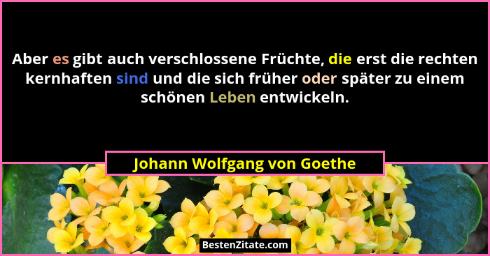 Aber es gibt auch verschlossene Früchte, die erst die rechten kernhaften sind und die sich früher oder später zu einem sc... - Johann Wolfgang von Goethe