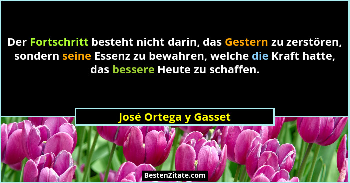Der Fortschritt besteht nicht darin, das Gestern zu zerstören, sondern seine Essenz zu bewahren, welche die Kraft hatte, das be... - José Ortega y Gasset