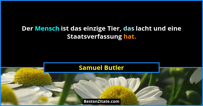 Der Mensch ist das einzige Tier, das lacht und eine Staatsverfassung hat.... - Samuel Butler