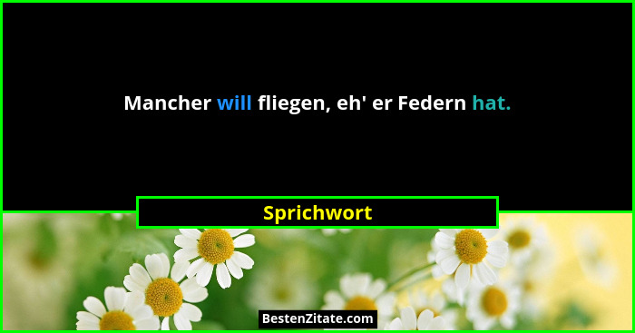 Mancher will fliegen, eh' er Federn hat.... - Sprichwort